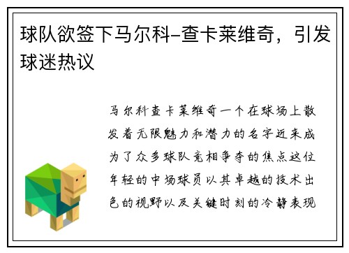球队欲签下马尔科-查卡莱维奇，引发球迷热议